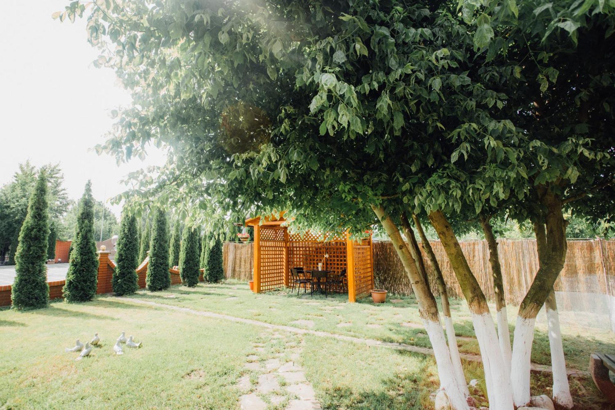 Villa Fenix แบรฮอฟ ภายนอก รูปภาพ