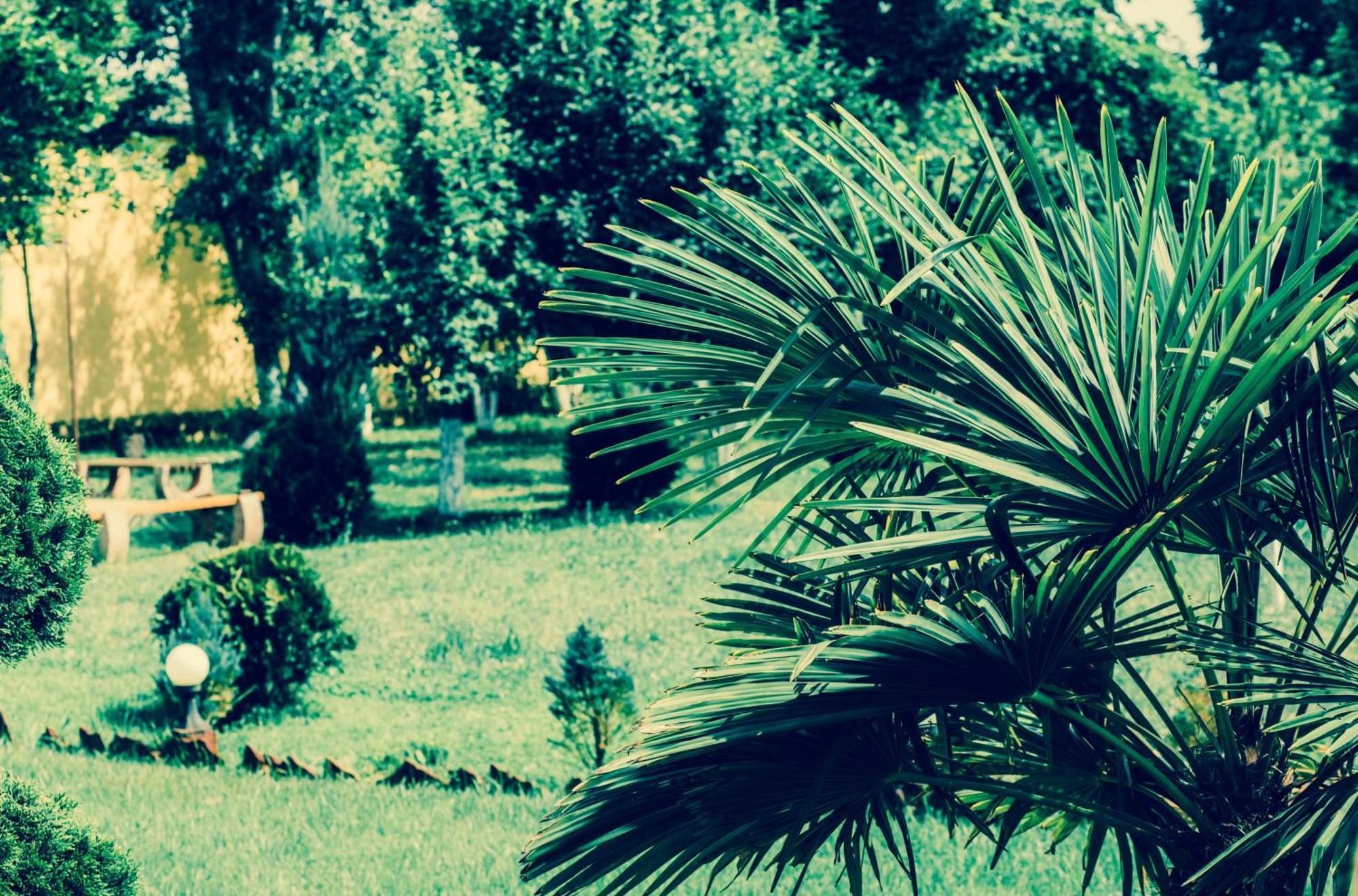 Villa Fenix แบรฮอฟ ภายนอก รูปภาพ